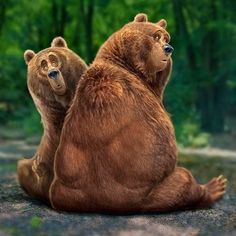 Фотография авторов